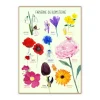 Fashion Plakat 50X70Cm, Farverne Og Blomsterne Plakater & Wallstickers