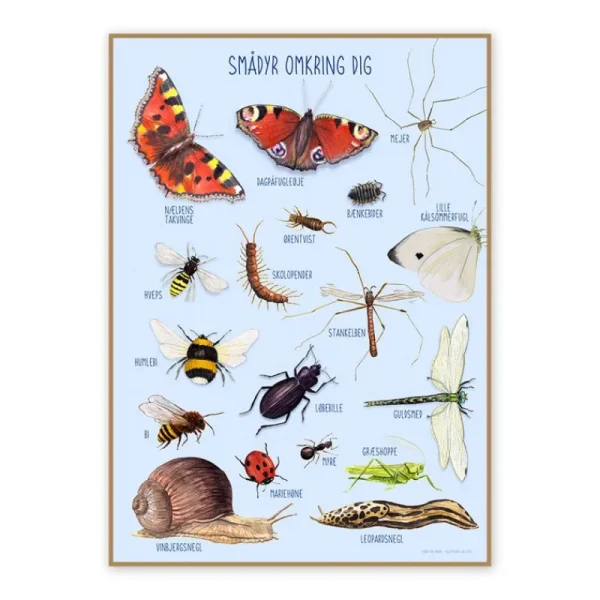 Flash Sale Plakat 50X70Cm, Smadyr Omkring Dig Plakater & Wallstickers