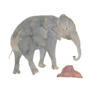 Cheap Wallsticker Elefant Stor Plakater & Wallstickers